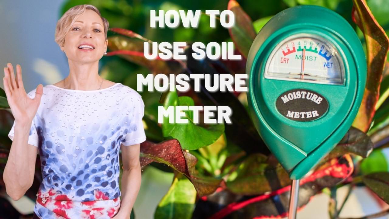 How to use soil moisture meter