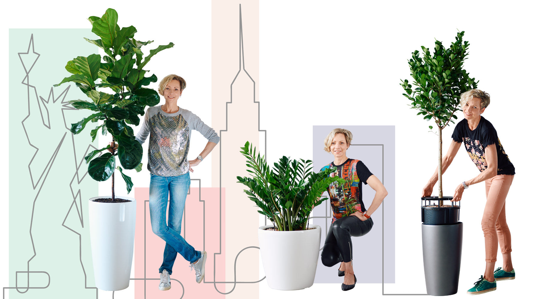 Plant delivery NYC - Plant Shop NYC - Houseplants delivered to your door - Shop Plants Online - New York - My City Plants